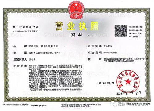 賈躍亭旗下ff注冊(cè)湖北公司 或?yàn)橹袊?guó)總部落地黃岡準(zhǔn)備