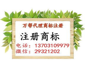 邯鄲公司注冊 邯鄲代理記賬 邯鄲商標注冊 一站式企業(yè)服務(wù)平臺